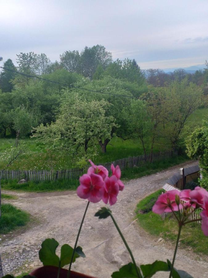 Casa Alina Breb Konuk evi Dış mekan fotoğraf